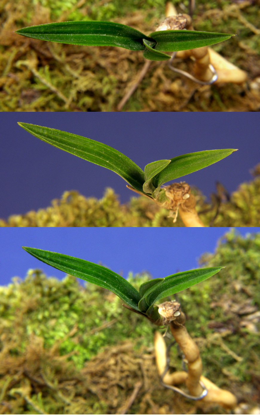 ������ ū������ �� �� �ֽ��ϴ�.