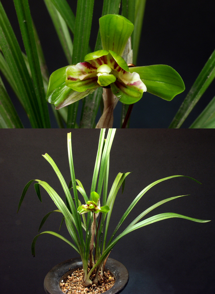 ������ ū������ �� �� �ֽ��ϴ�.