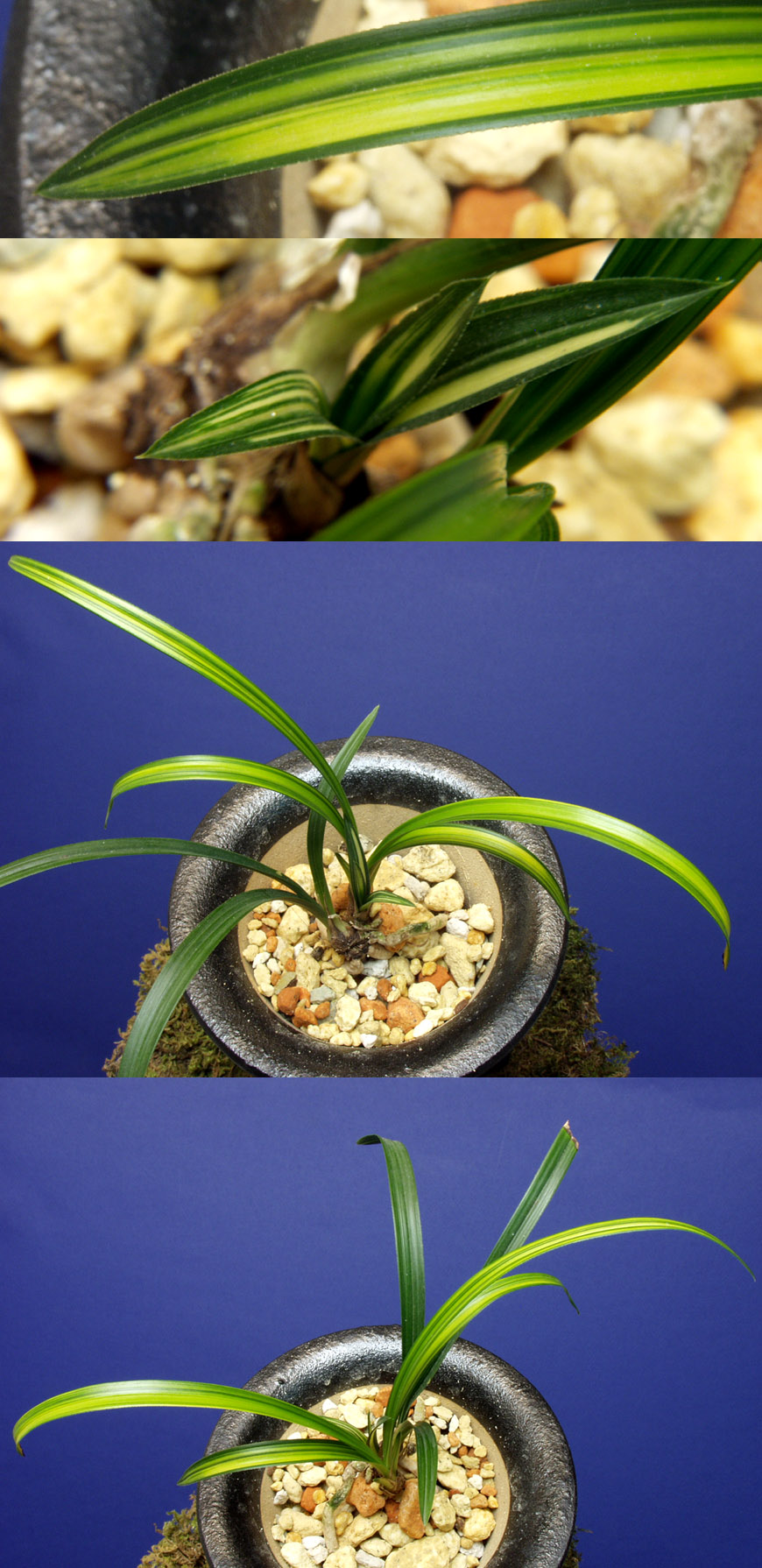 ������ ū������ �� �� �ֽ��ϴ�.