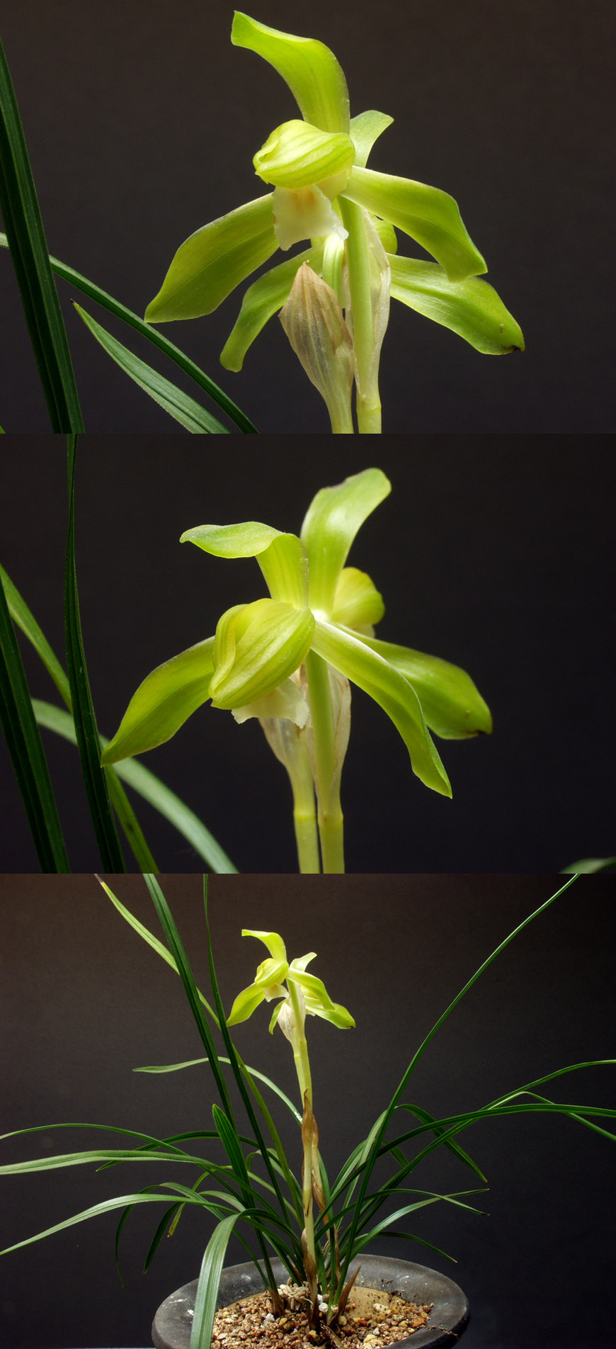 ������ ū������ �� �� �ֽ��ϴ�.