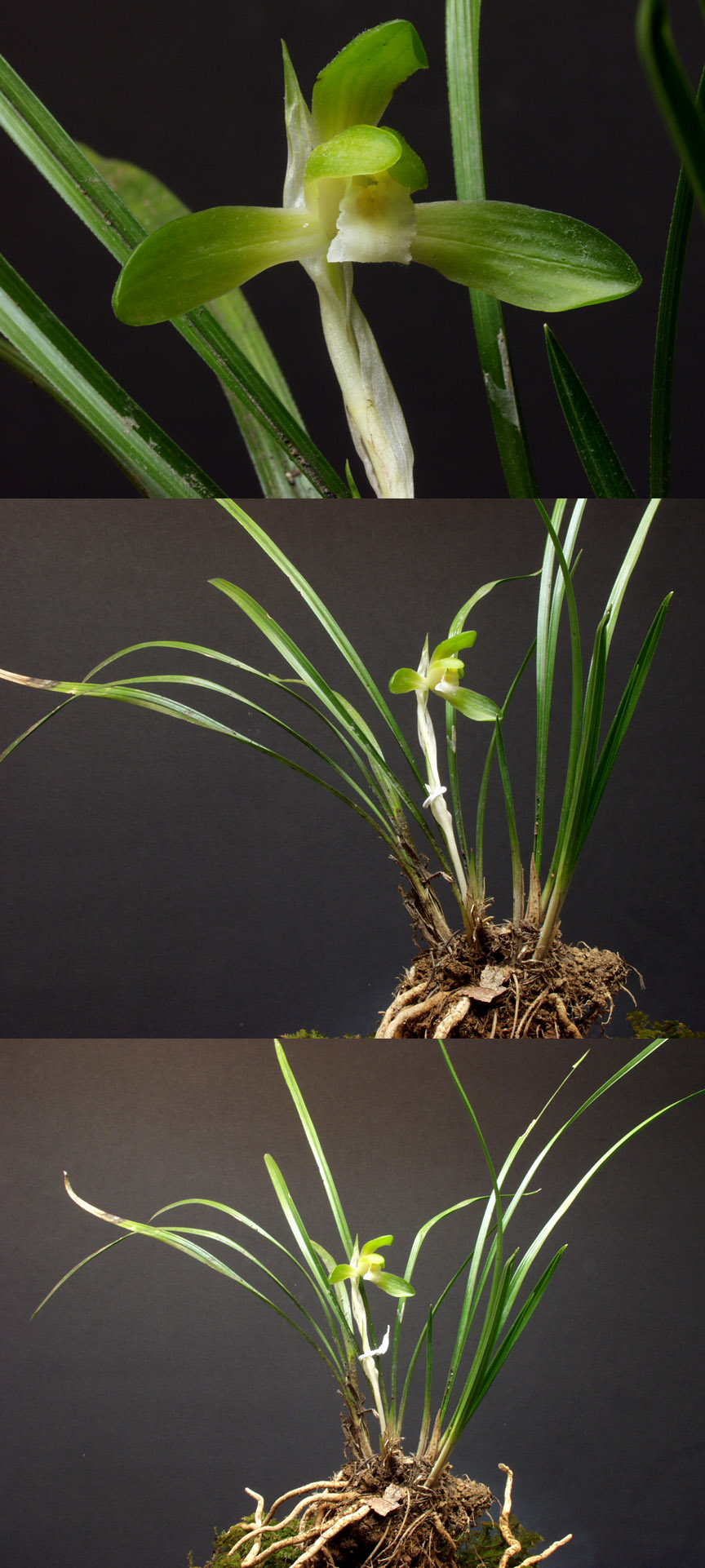 ������ ū������ �� �� �ֽ��ϴ�.