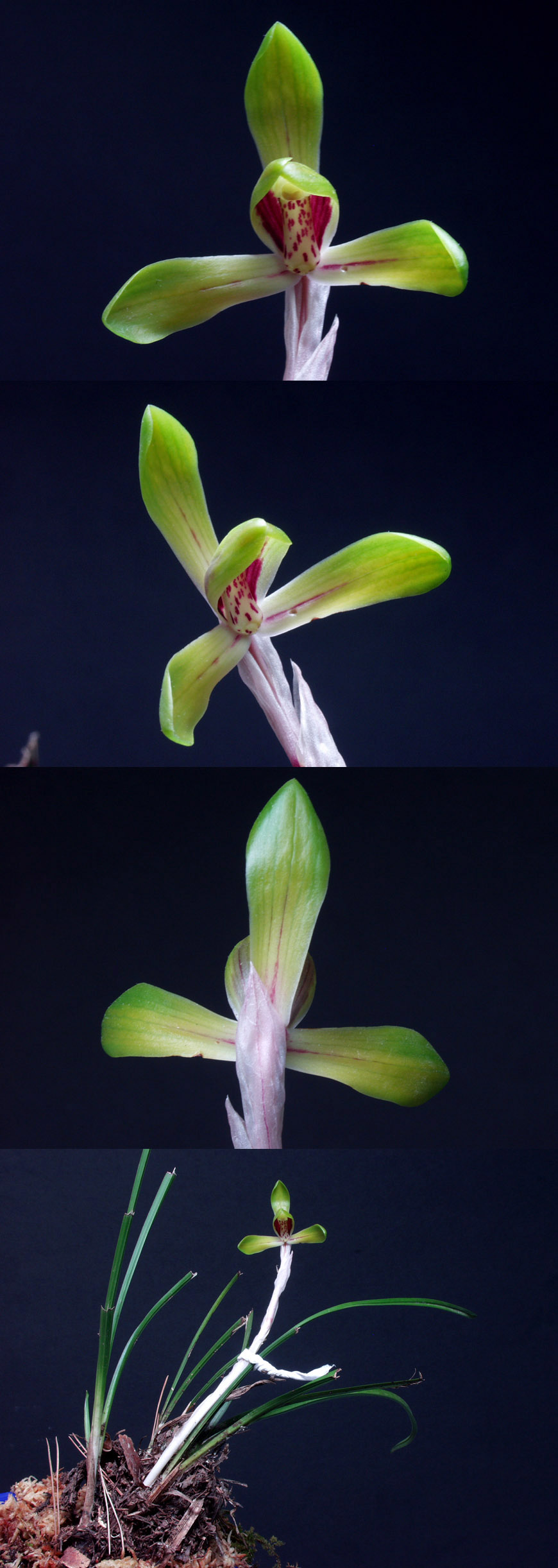 ������ ū������ �� �� �ֽ��ϴ�.