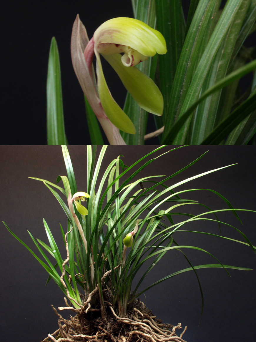 ������ ū������ �� �� �ֽ��ϴ�.