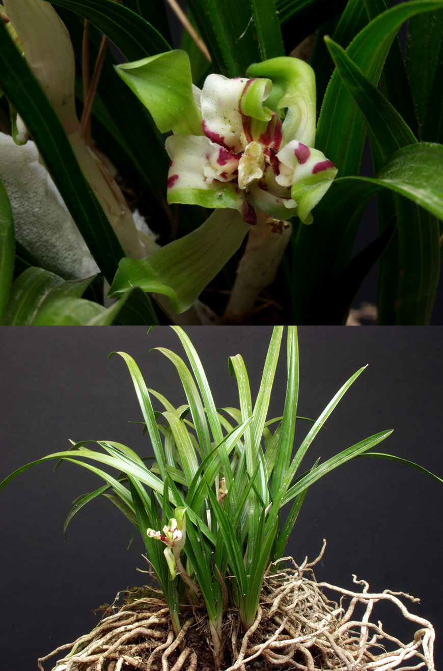 ������ ū������ �� �� �ֽ��ϴ�.