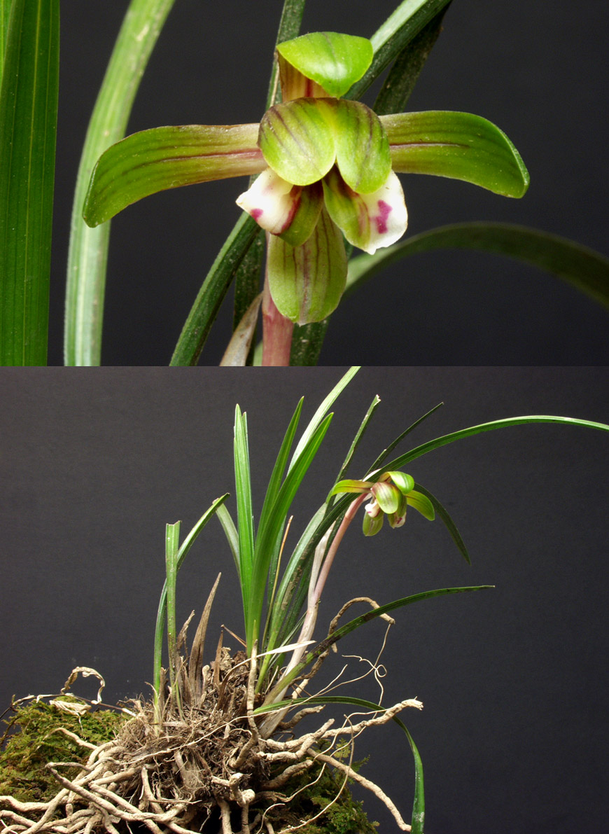 ������ ū������ �� �� �ֽ��ϴ�.