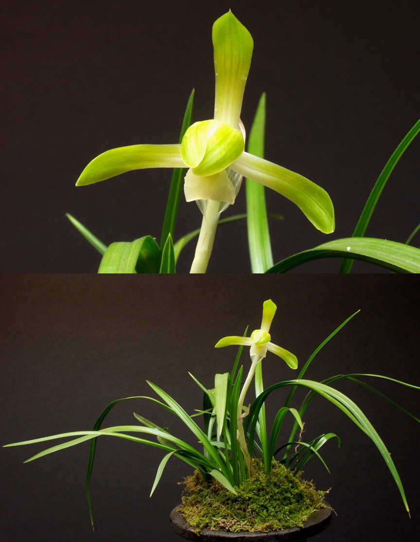 ������ ū������ �� �� �ֽ��ϴ�.