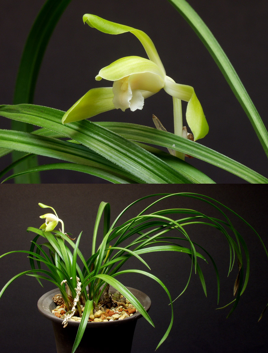 ������ ū������ �� �� �ֽ��ϴ�.