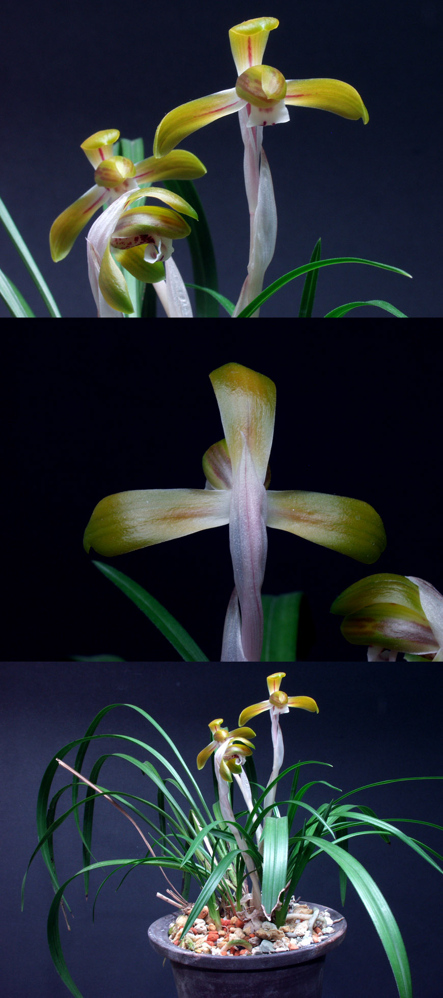 ������ ū������ �� �� �ֽ��ϴ�.