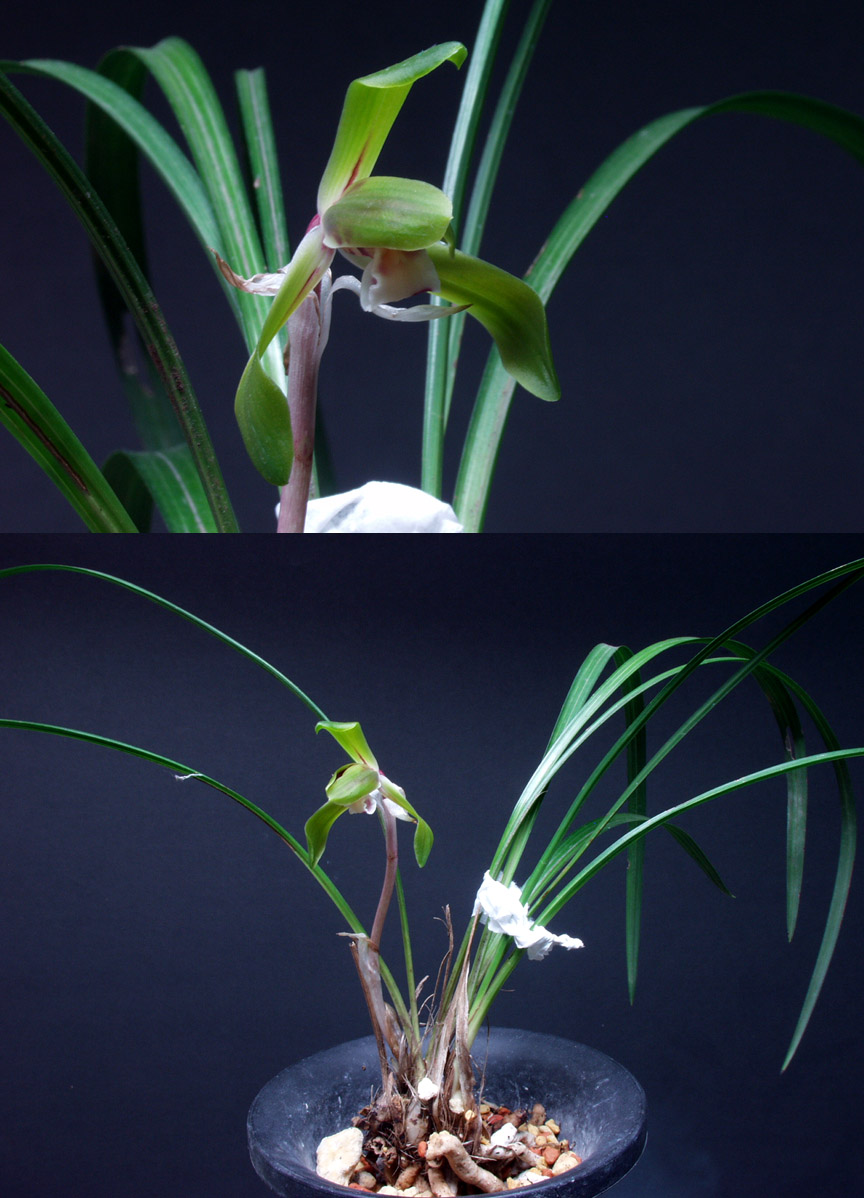 ������ ū������ �� �� �ֽ��ϴ�.