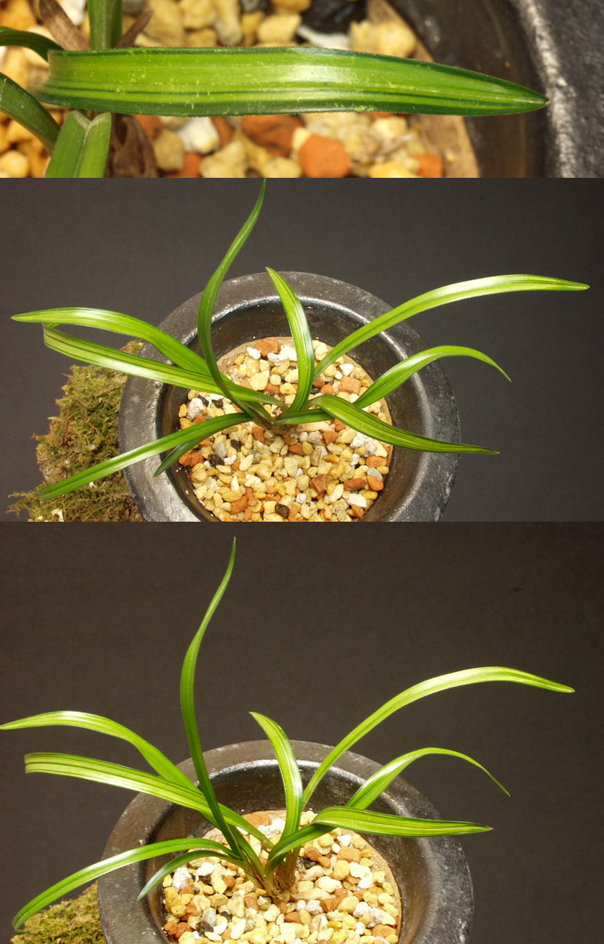 ������ ū������ �� �� �ֽ��ϴ�.