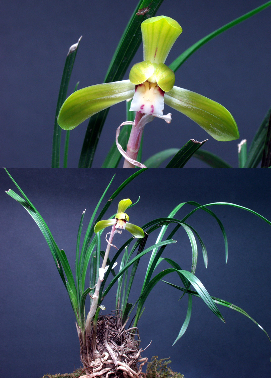 ������ ū������ �� �� �ֽ��ϴ�.