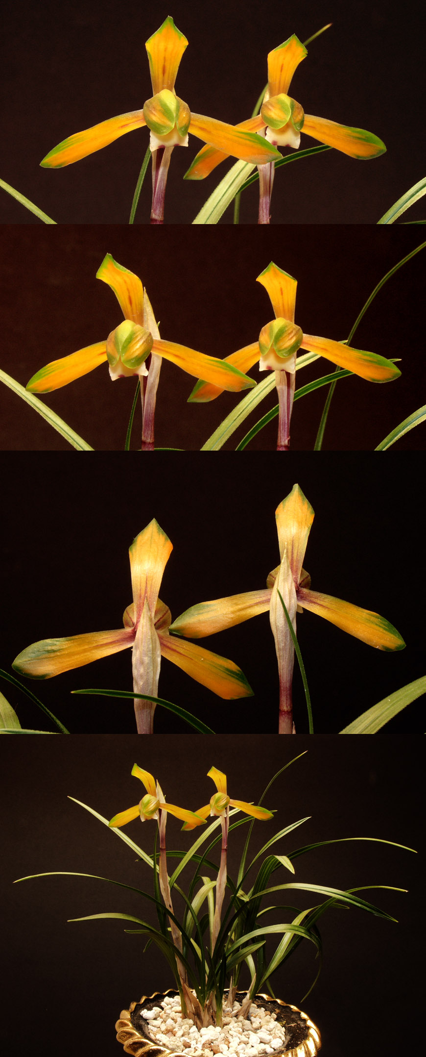 ������ ū������ �� �� �ֽ��ϴ�.