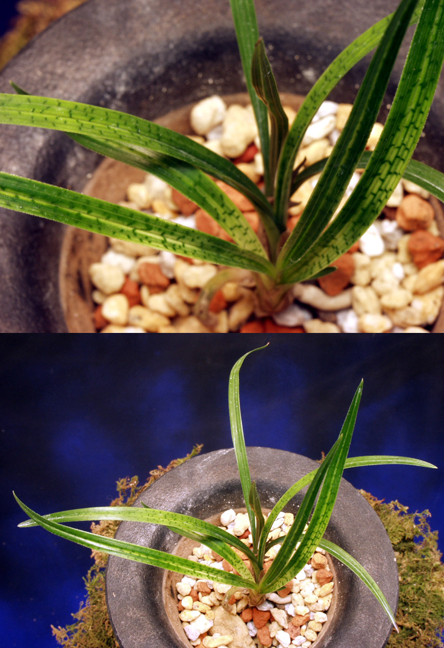 ������ ū������ �� �� �ֽ��ϴ�.