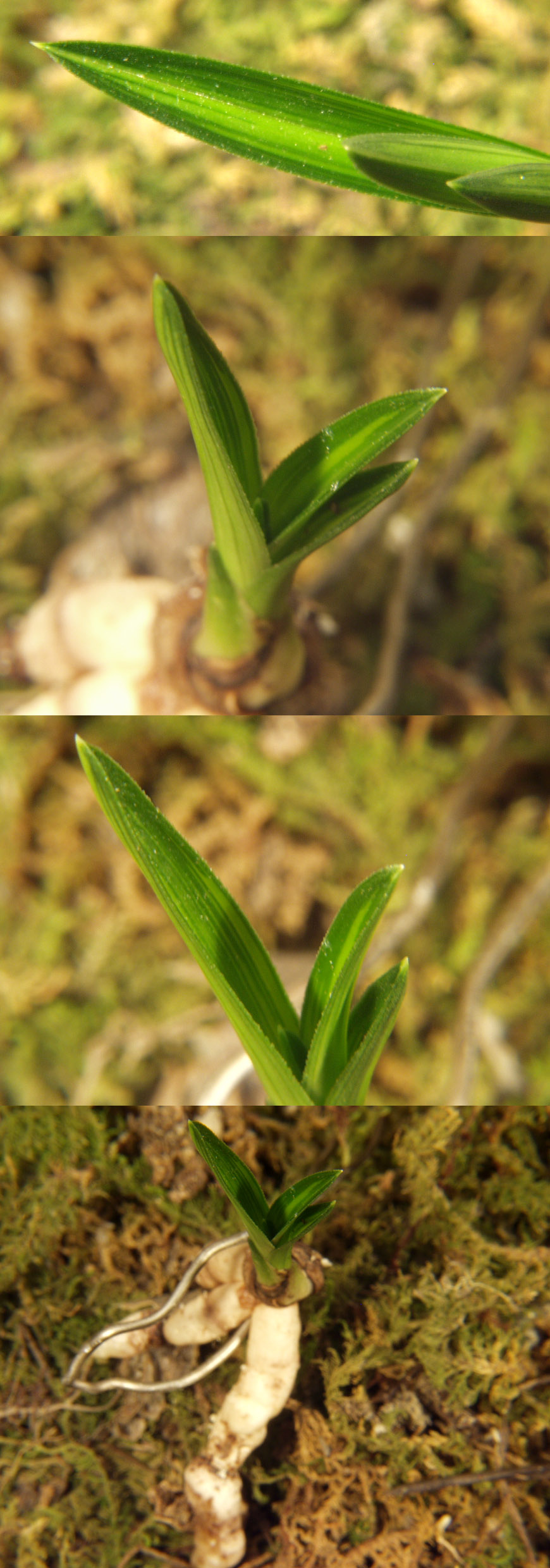 ������ ū������ �� �� �ֽ��ϴ�.