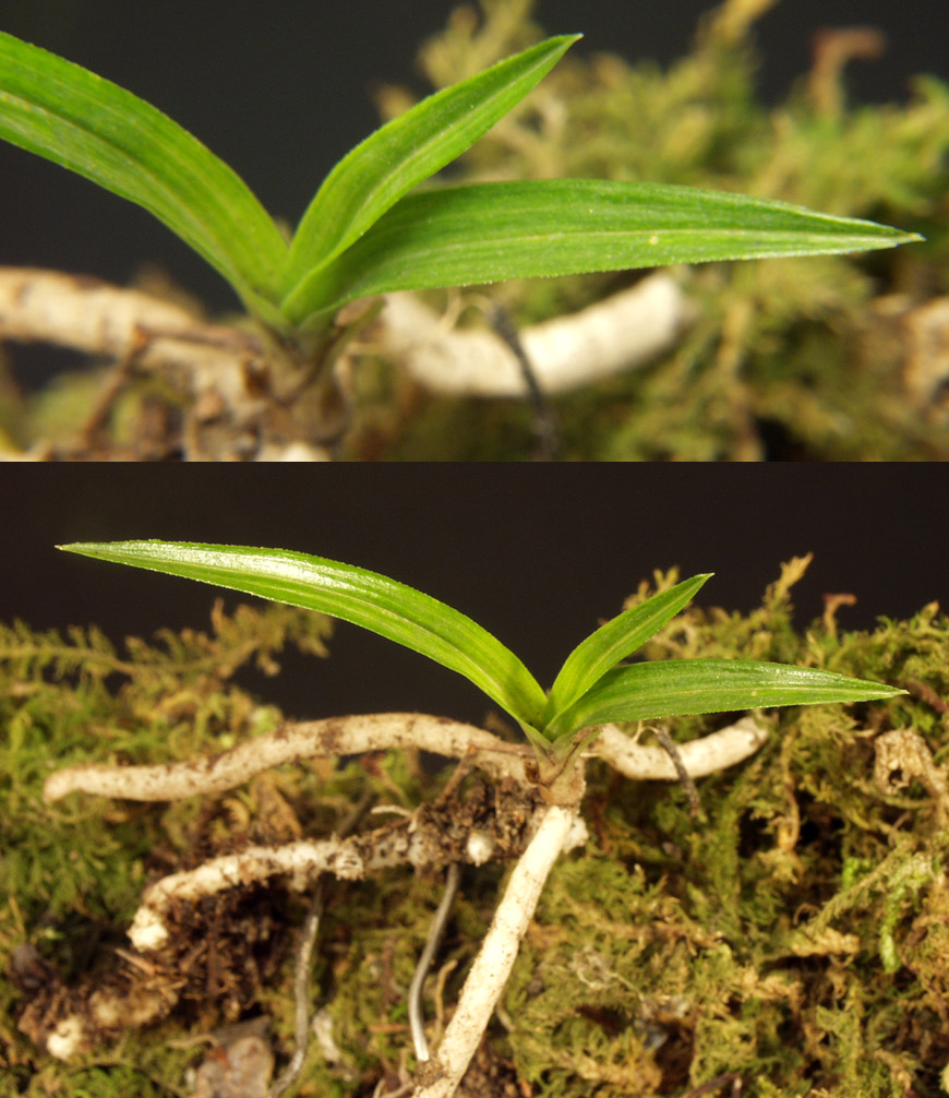 ������ ū������ �� �� �ֽ��ϴ�.