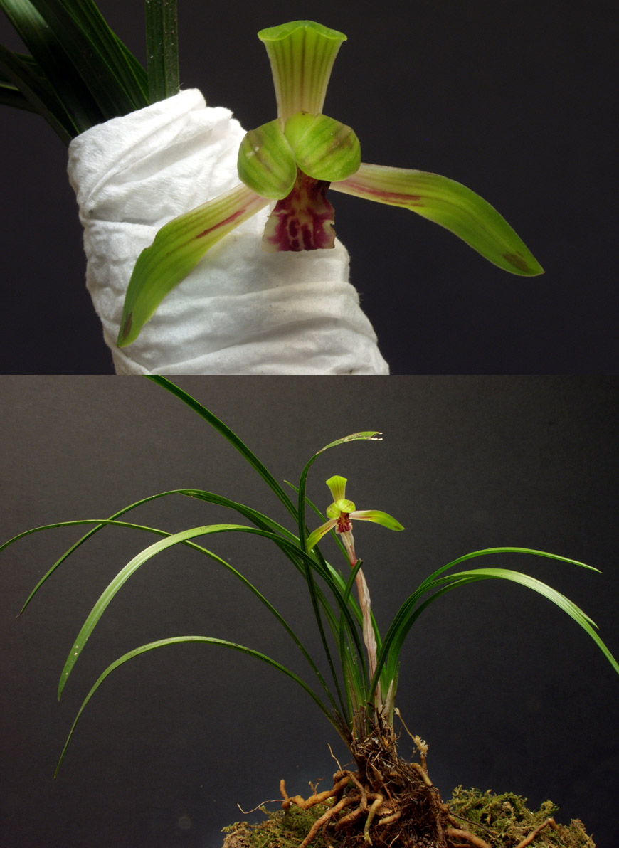 ������ ū������ �� �� �ֽ��ϴ�.