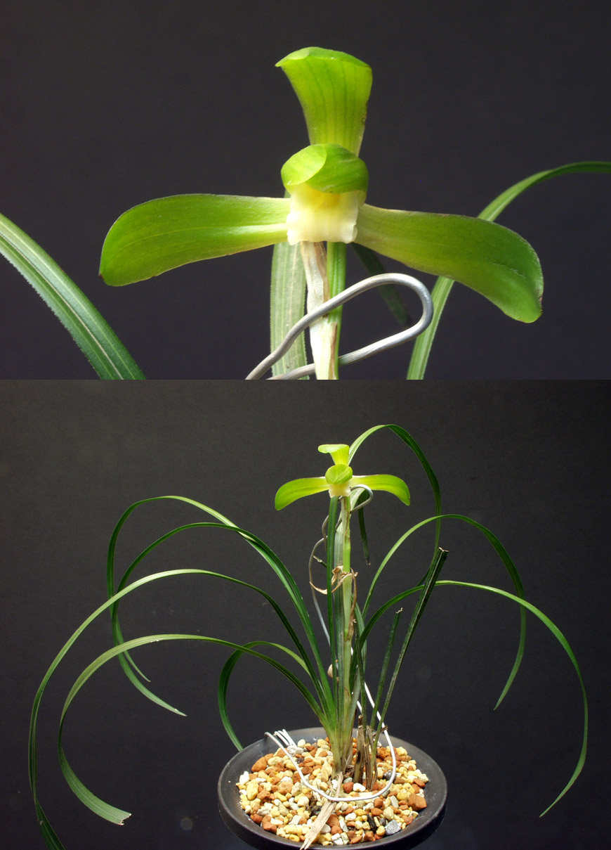 ������ ū������ �� �� �ֽ��ϴ�.