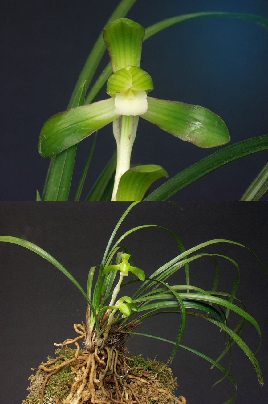 ������ ū������ �� �� �ֽ��ϴ�.