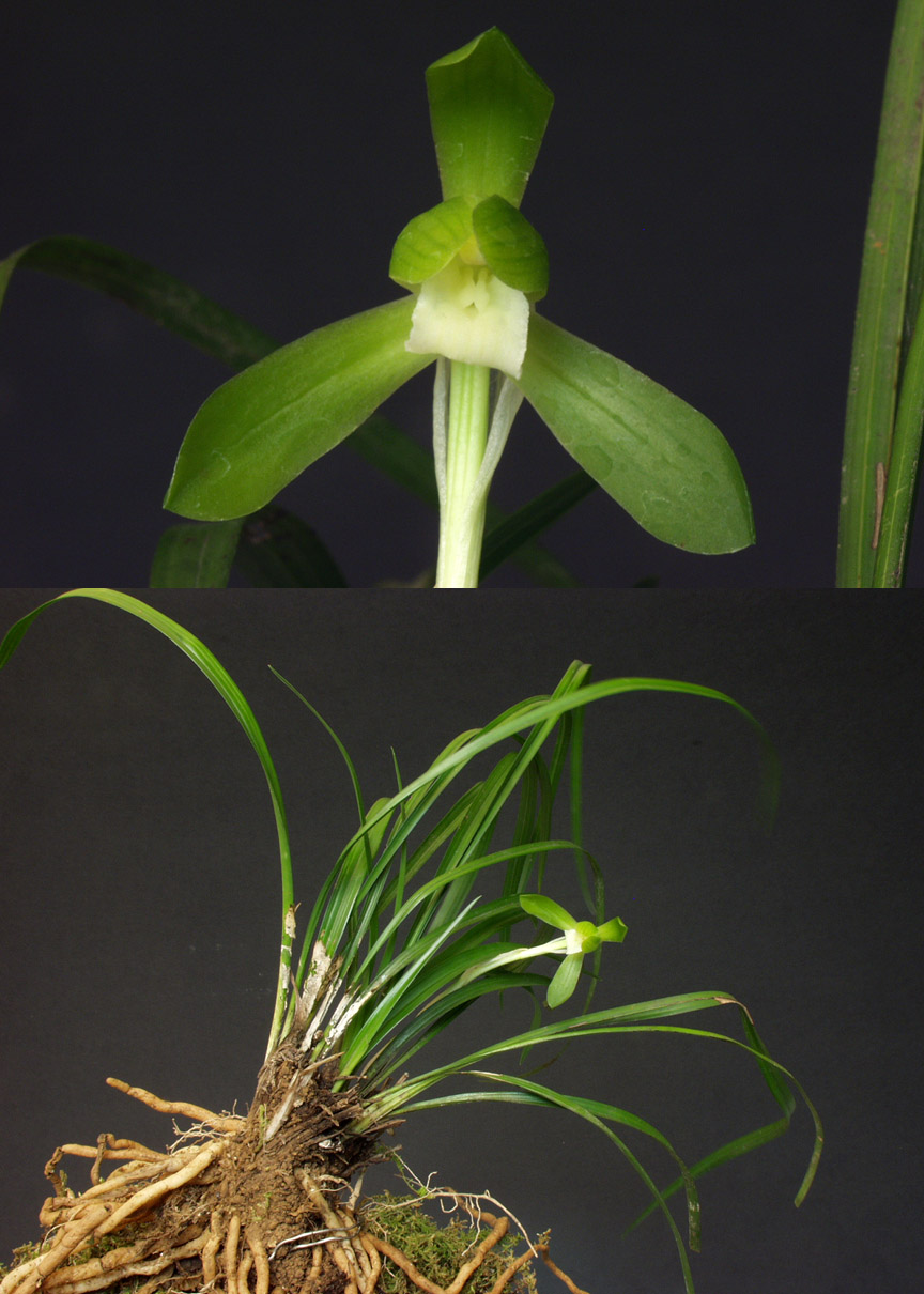 ������ ū������ �� �� �ֽ��ϴ�.