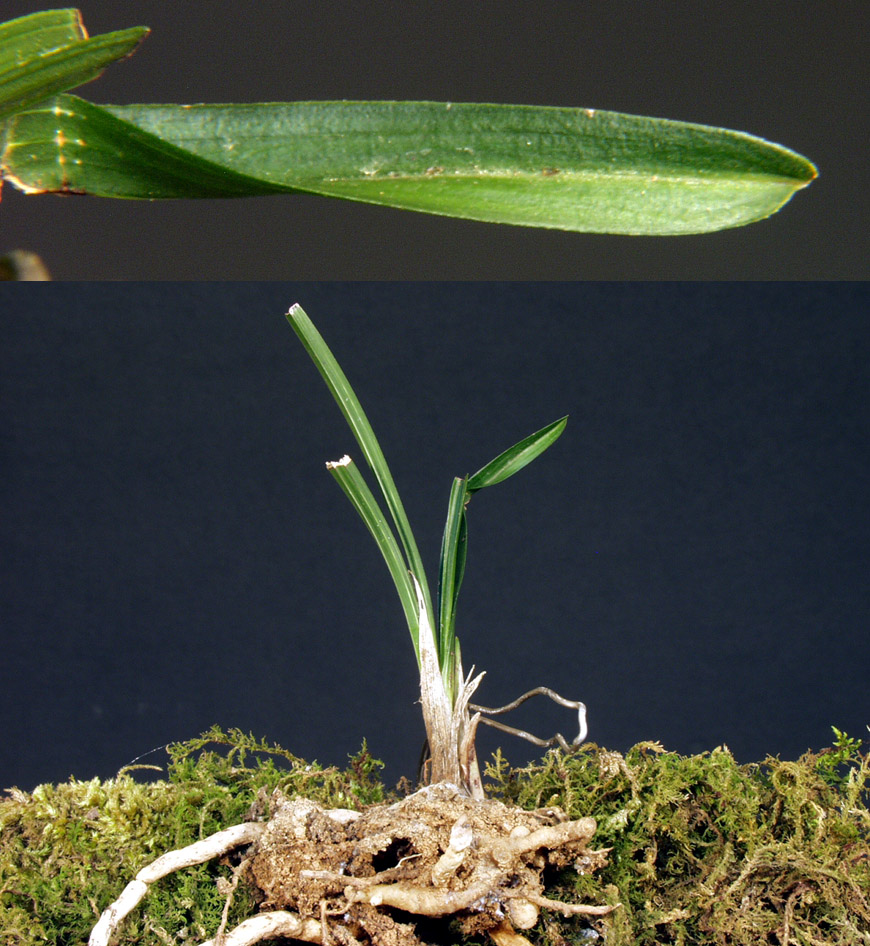 ������ ū������ �� �� �ֽ��ϴ�.