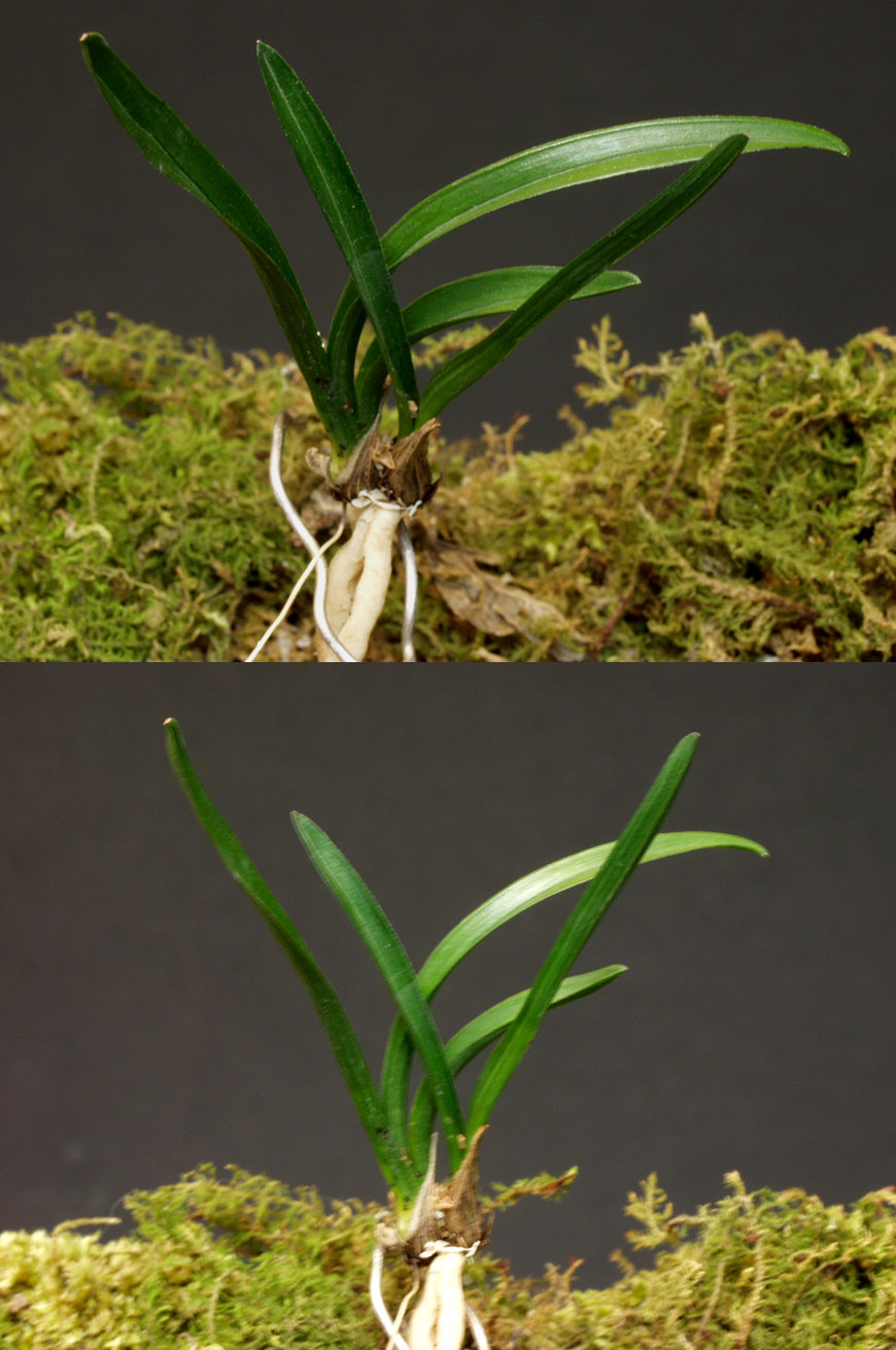 ������ ū������ �� �� �ֽ��ϴ�.