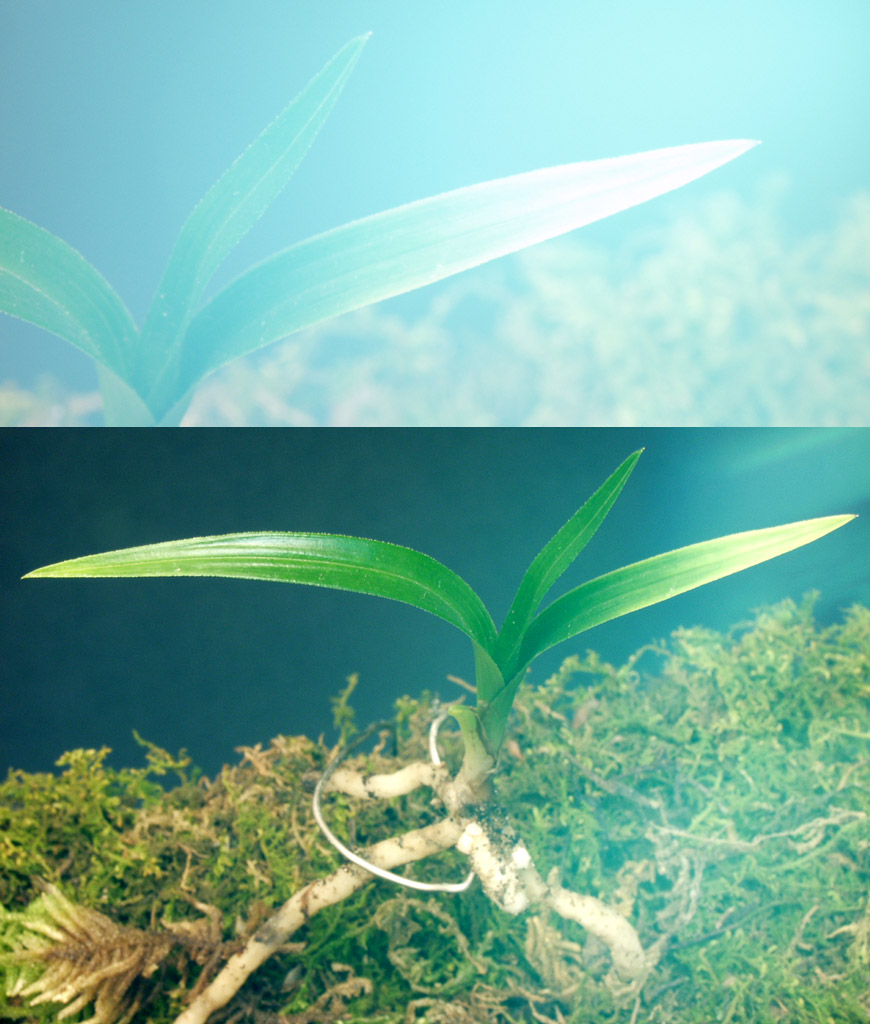 ������ ū������ �� �� �ֽ��ϴ�.