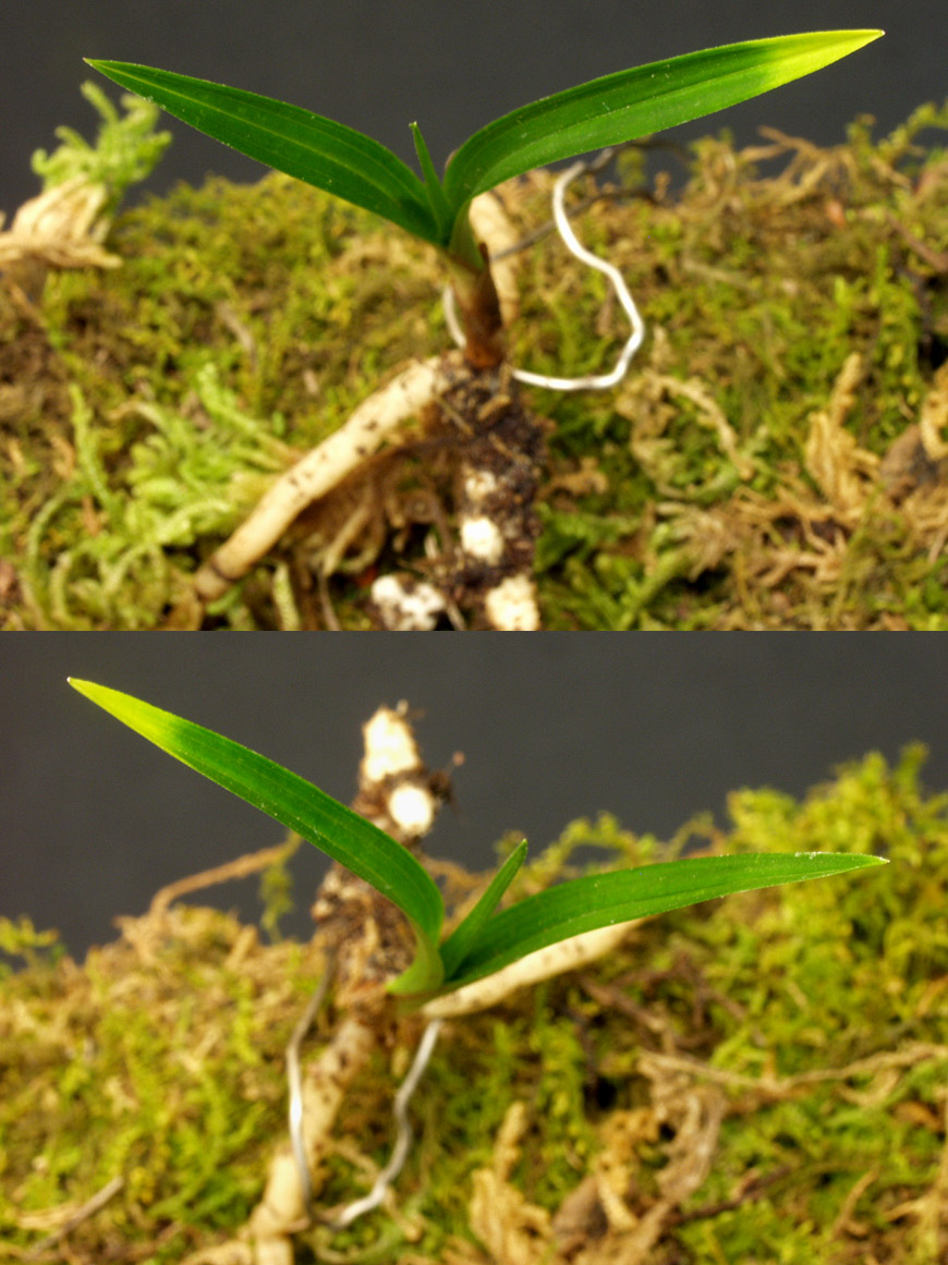 ������ ū������ �� �� �ֽ��ϴ�.