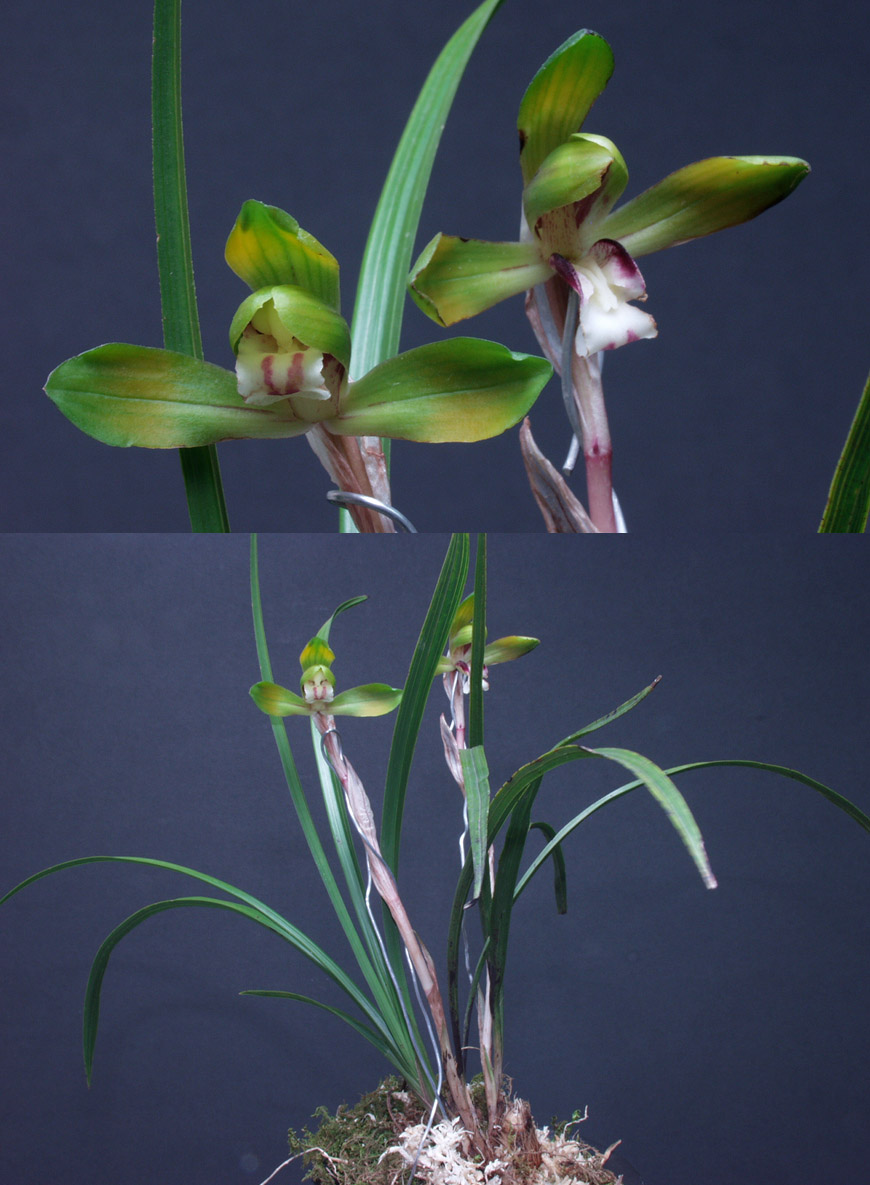 ������ ū������ �� �� �ֽ��ϴ�.