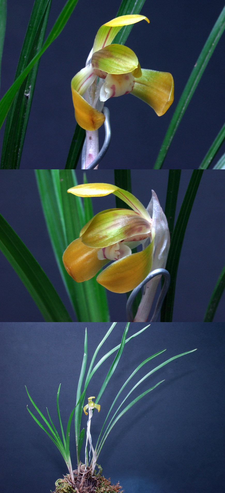 ������ ū������ �� �� �ֽ��ϴ�.