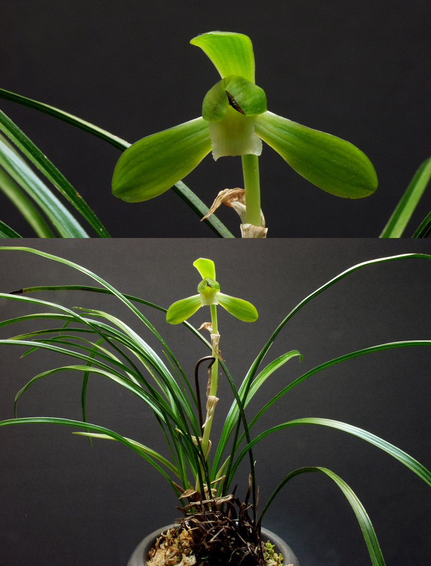 ������ ū������ �� �� �ֽ��ϴ�.