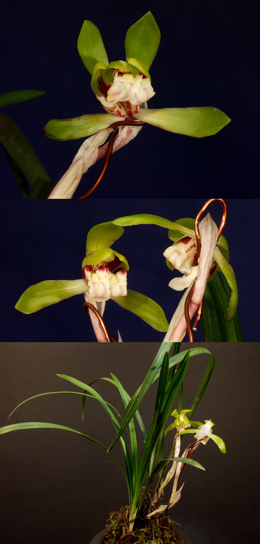 ������ ū������ �� �� �ֽ��ϴ�.