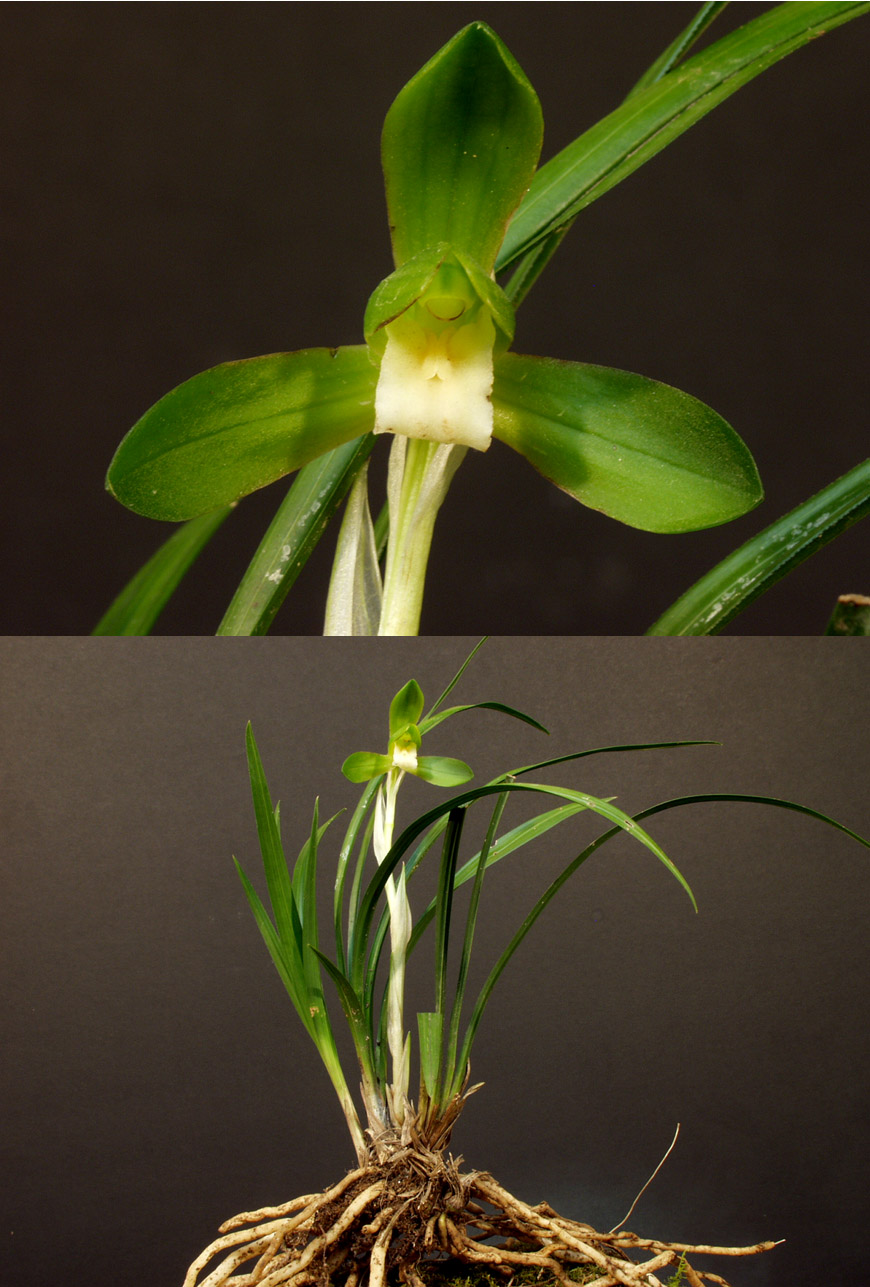 ������ ū������ �� �� �ֽ��ϴ�.