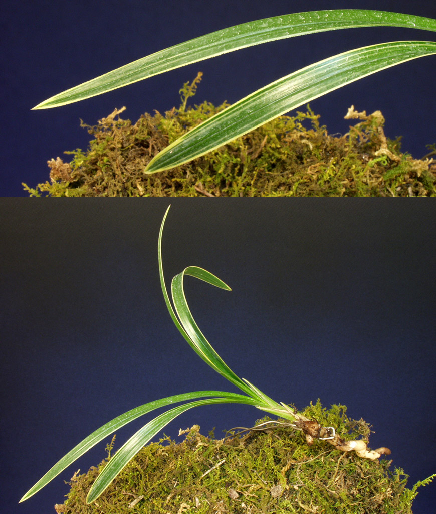 ������ ū������ �� �� �ֽ��ϴ�.