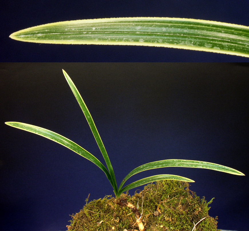 ������ ū������ �� �� �ֽ��ϴ�.