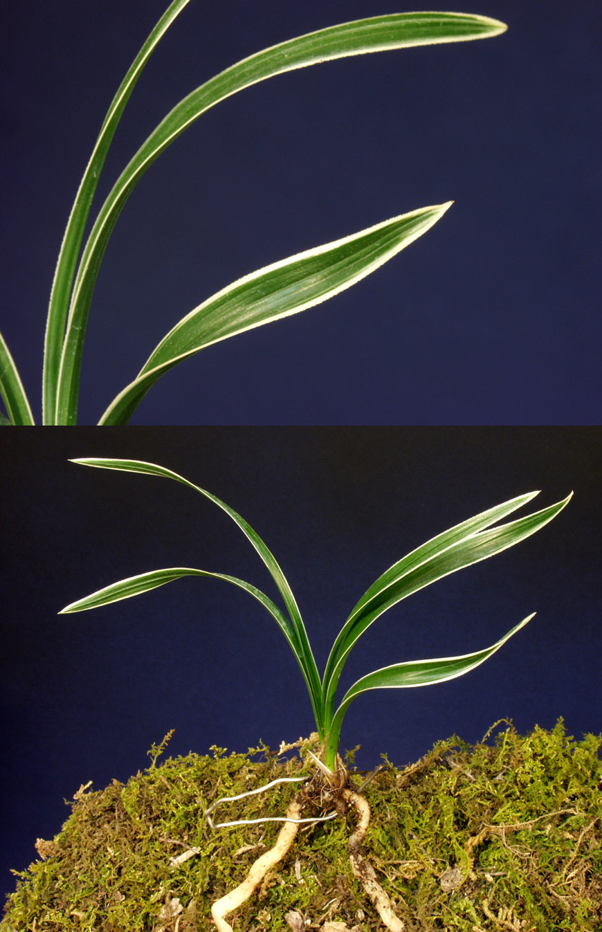 ������ ū������ �� �� �ֽ��ϴ�.