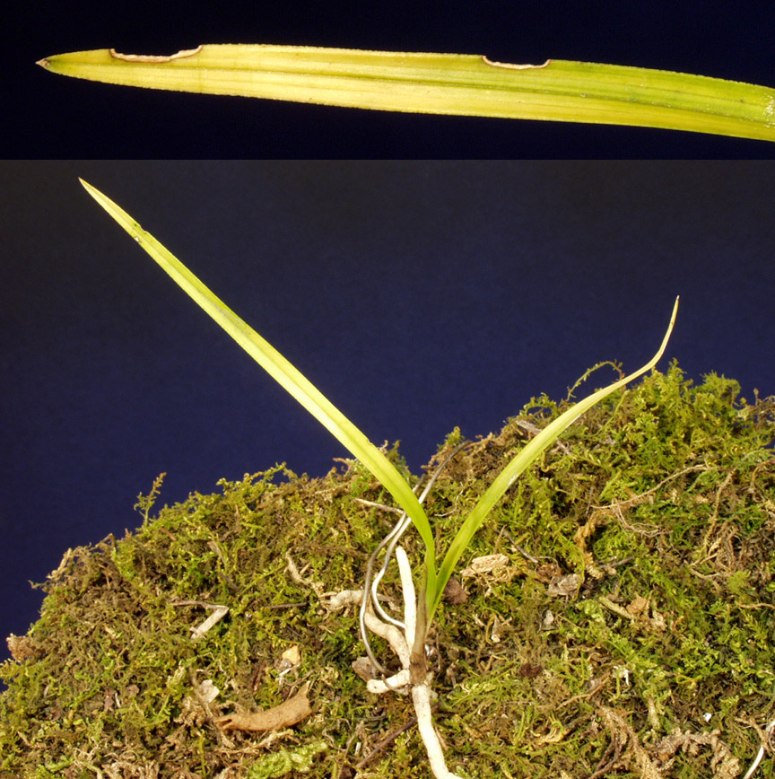 ������ ū������ �� �� �ֽ��ϴ�.