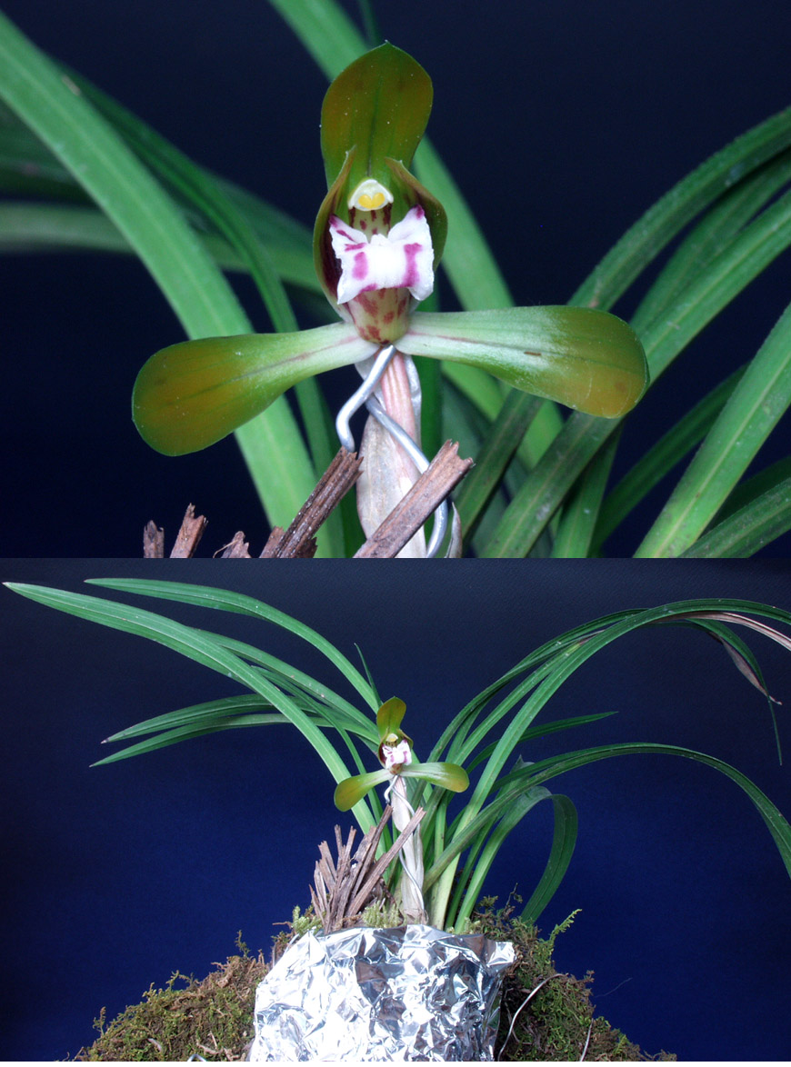 ������ ū������ �� �� �ֽ��ϴ�.