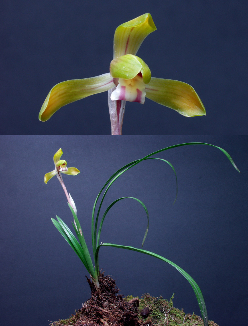 ������ ū������ �� �� �ֽ��ϴ�.