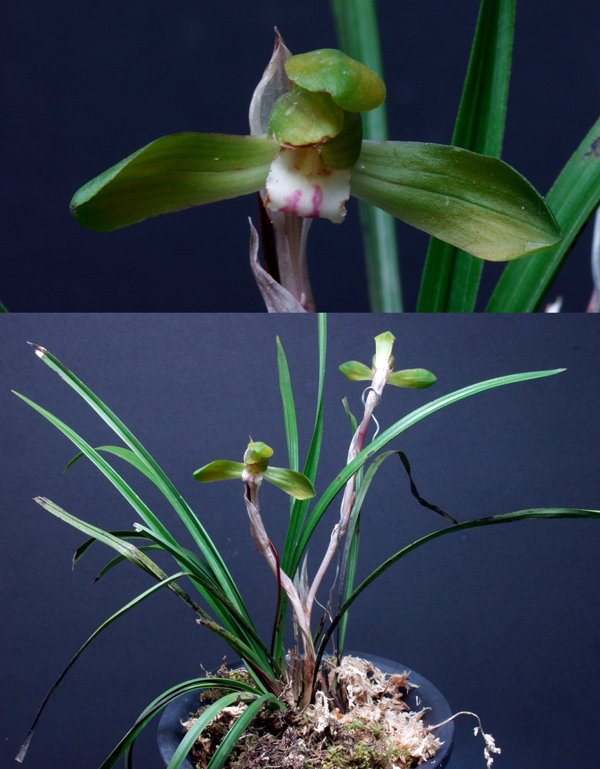 ������ ū������ �� �� �ֽ��ϴ�.