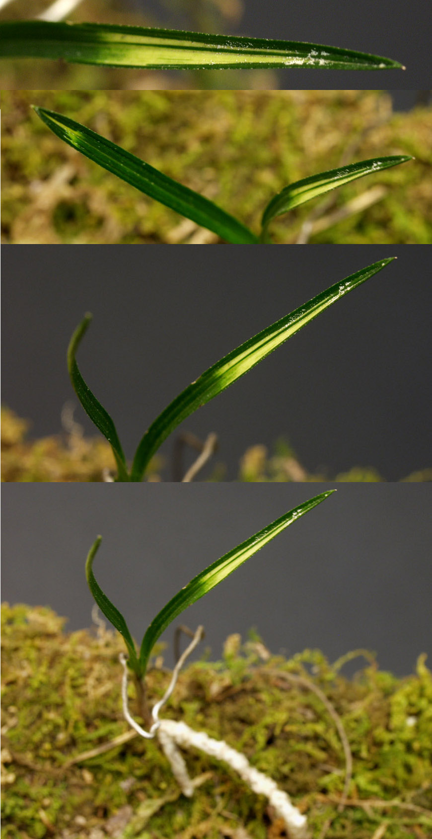 ������ ū������ �� �� �ֽ��ϴ�.