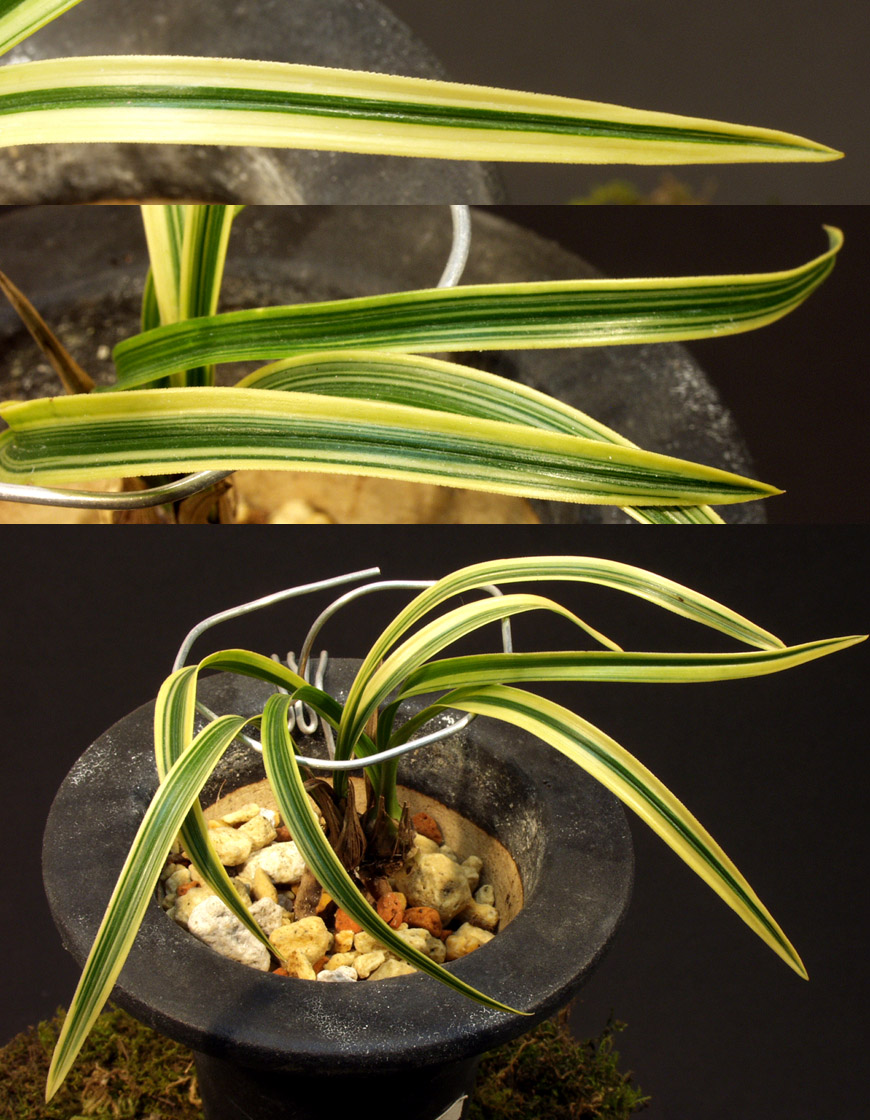 ������ ū������ �� �� �ֽ��ϴ�.