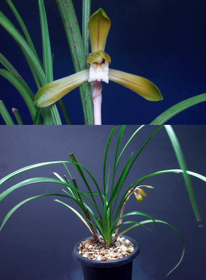 ������ ū������ �� �� �ֽ��ϴ�.