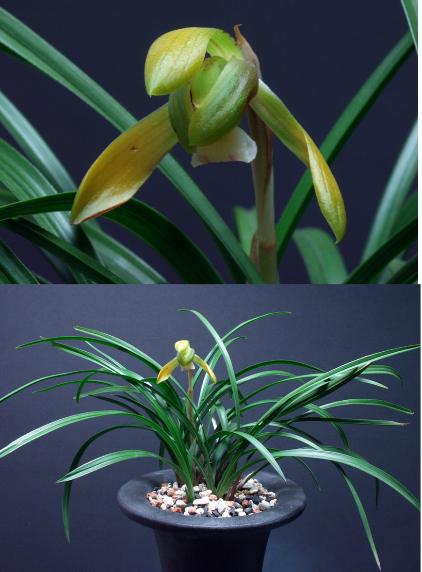 ������ ū������ �� �� �ֽ��ϴ�.