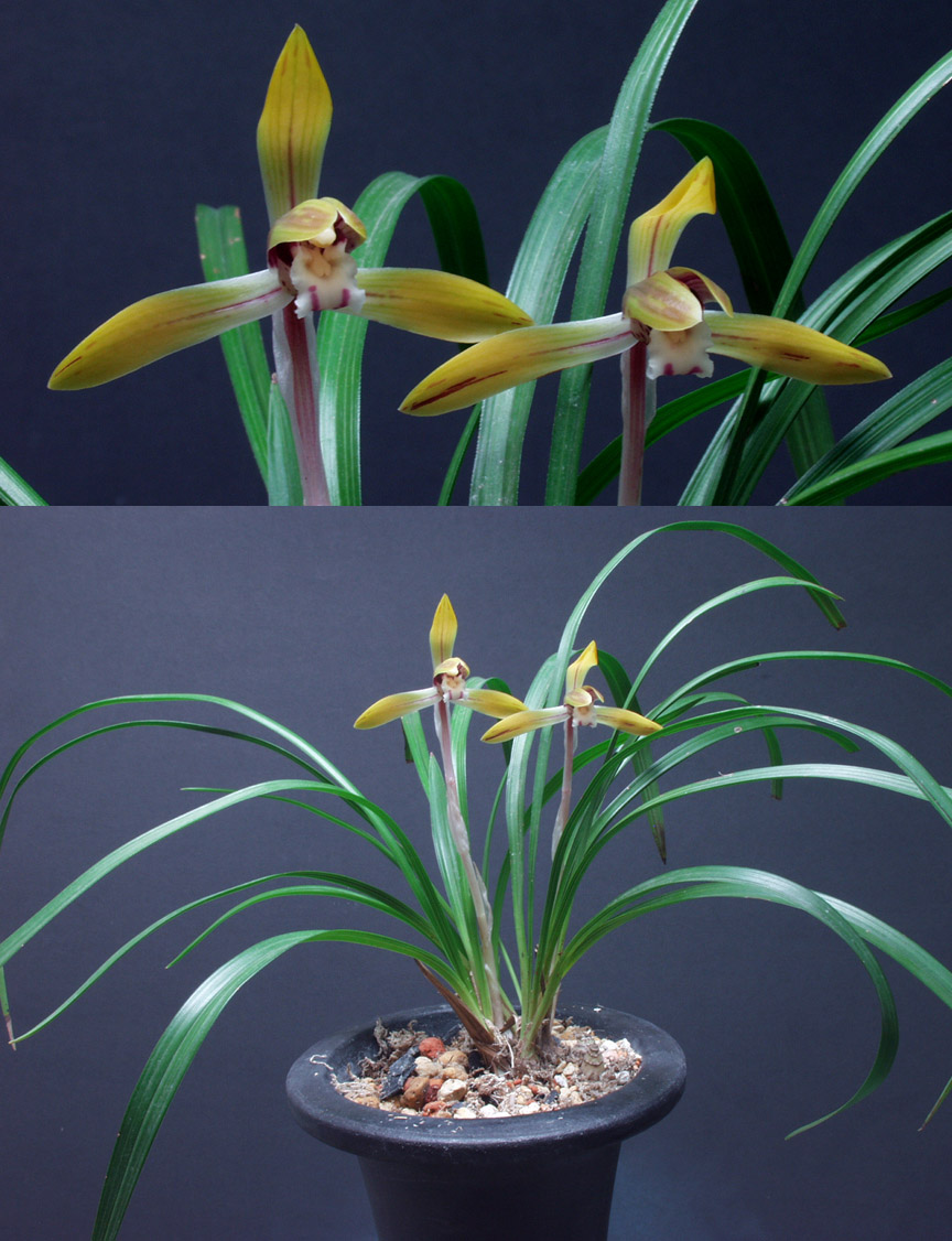 ������ ū������ �� �� �ֽ��ϴ�.