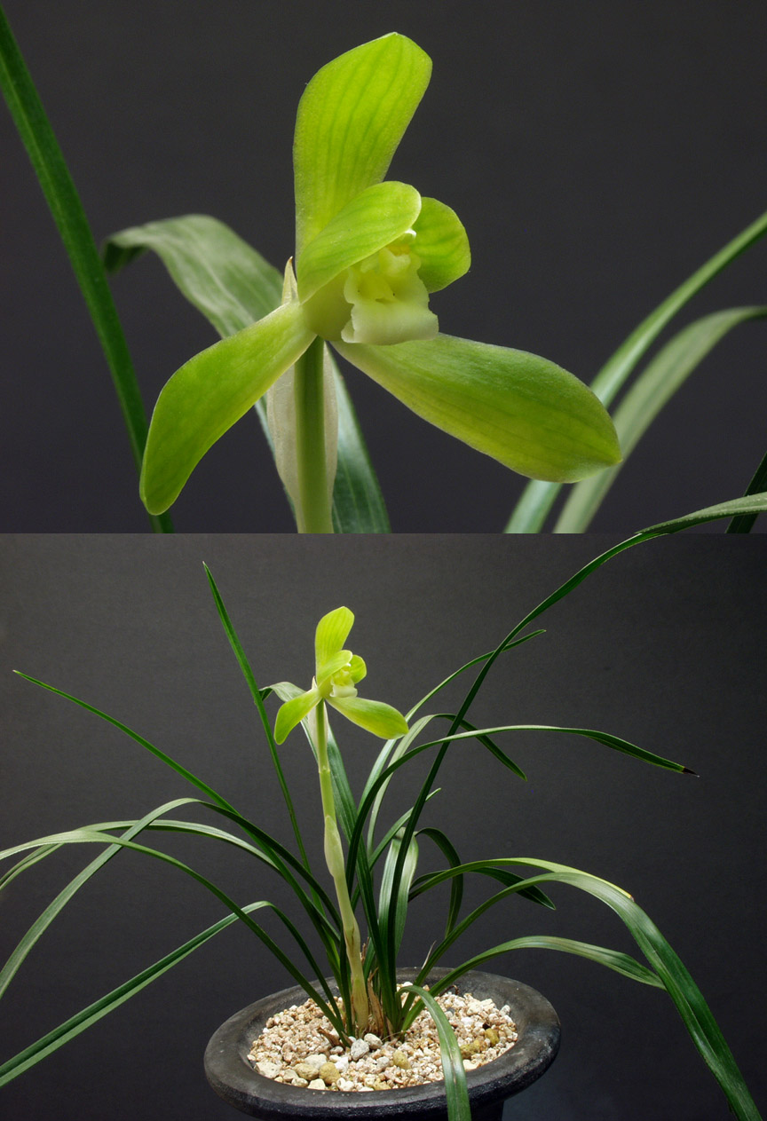 ������ ū������ �� �� �ֽ��ϴ�.