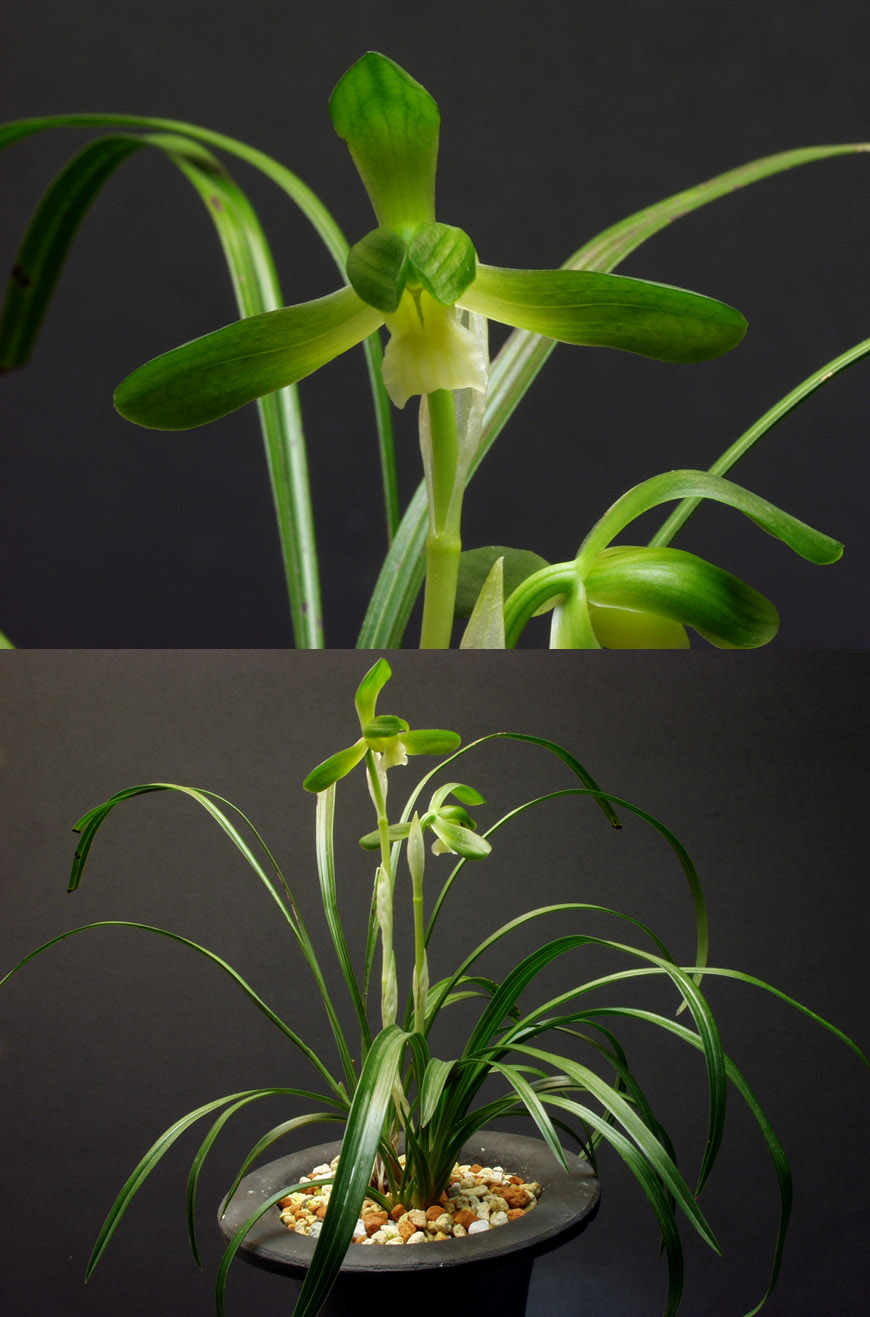 ������ ū������ �� �� �ֽ��ϴ�.