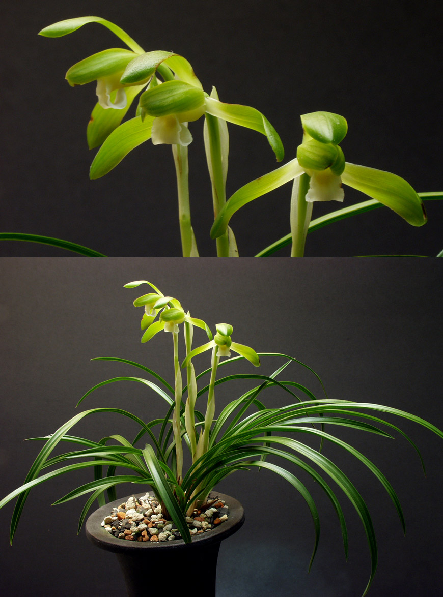 ������ ū������ �� �� �ֽ��ϴ�.