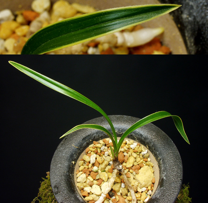 ������ ū������ �� �� �ֽ��ϴ�.