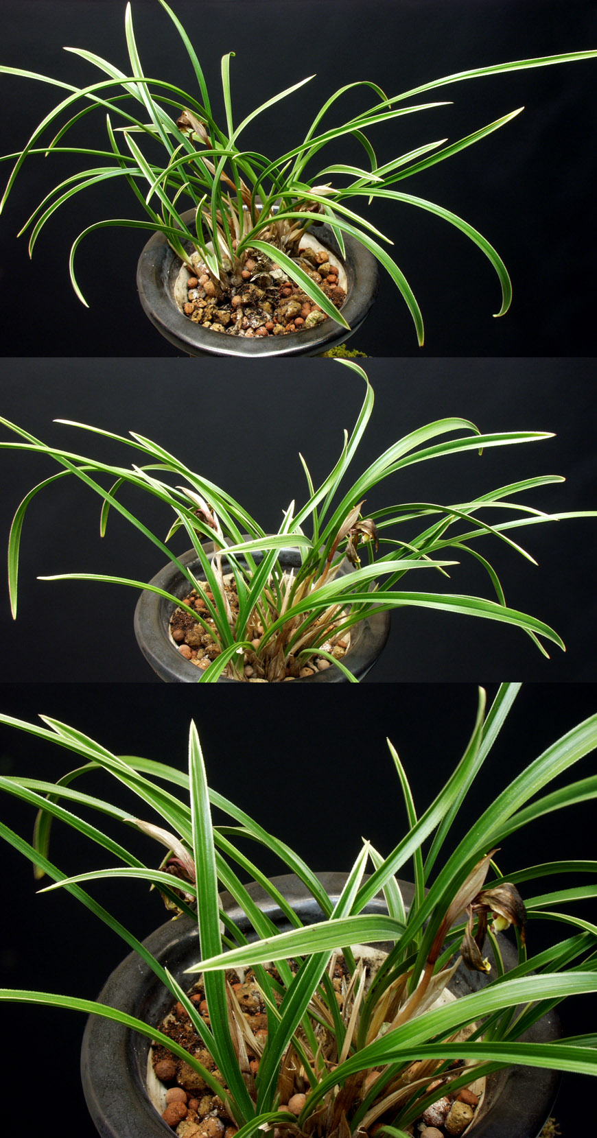 ������ ū������ �� �� �ֽ��ϴ�.