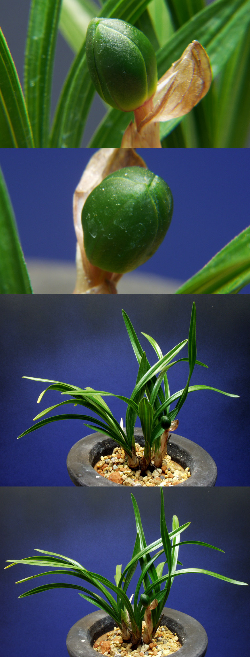 ������ ū������ �� �� �ֽ��ϴ�.